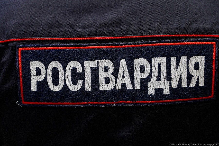 Росгвардия назвала виновника ДТП, в которое попали ее сотрудники