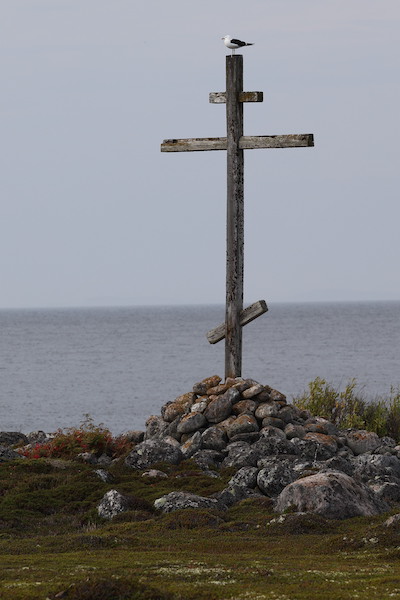 Русский север, русский дух и Белое море: для чего нужно ехать на Соловки (фото)