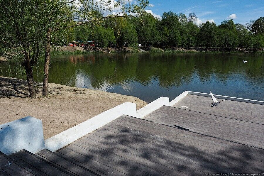 Облвласти: Летнее озеро расчистят в 2023 году. Это должны были сделать по приграничной программе