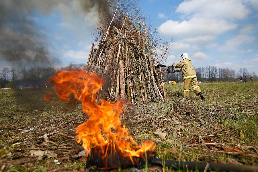 Пожарная тревога: как тушат леса в Калининградской области