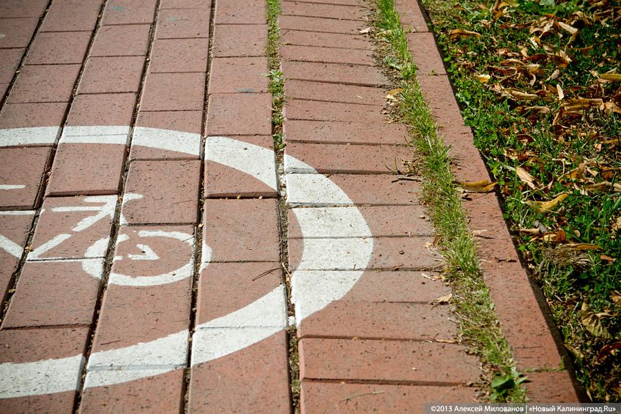 С собакой-улыбакой: Ярошук вновь пообещал завершить реконструкцию набережной Верхнего озера