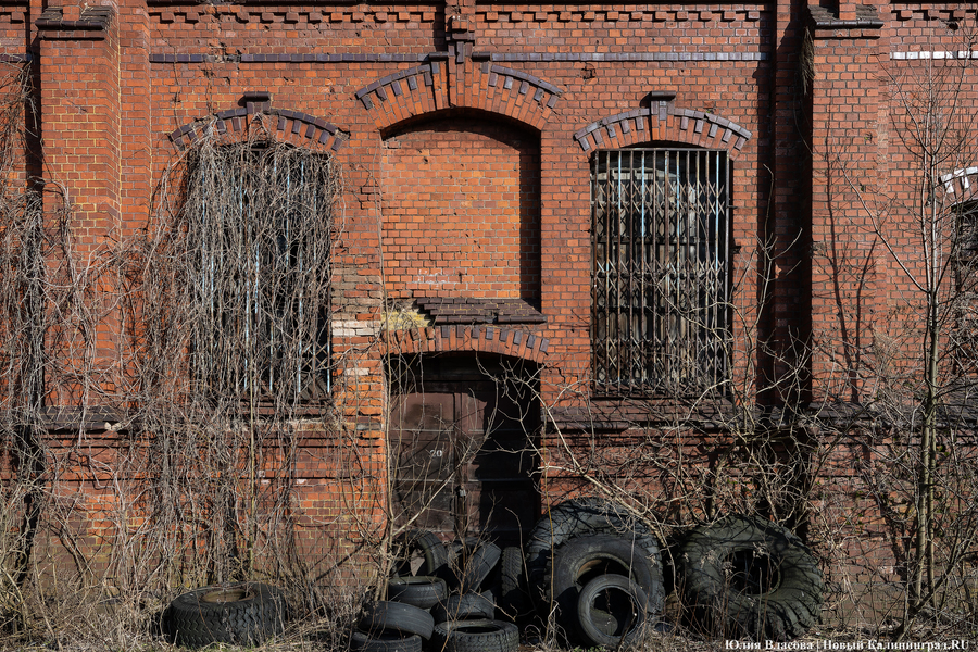 След Розенау: как выглядит заброшенный мясокомбинат на Аллее Смелых (фото)