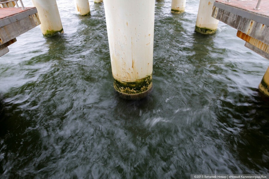 Калининградец прыгнул в Преголю за тонущим человеком, обоих спасли полицейские