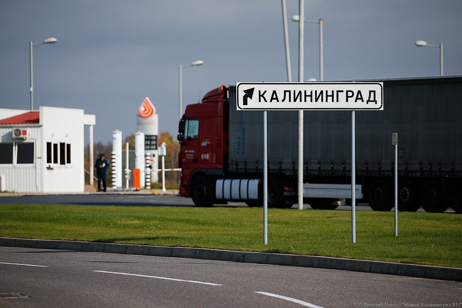 Импорт белорусской «молочки» и яиц в Калининград начал сокращаться