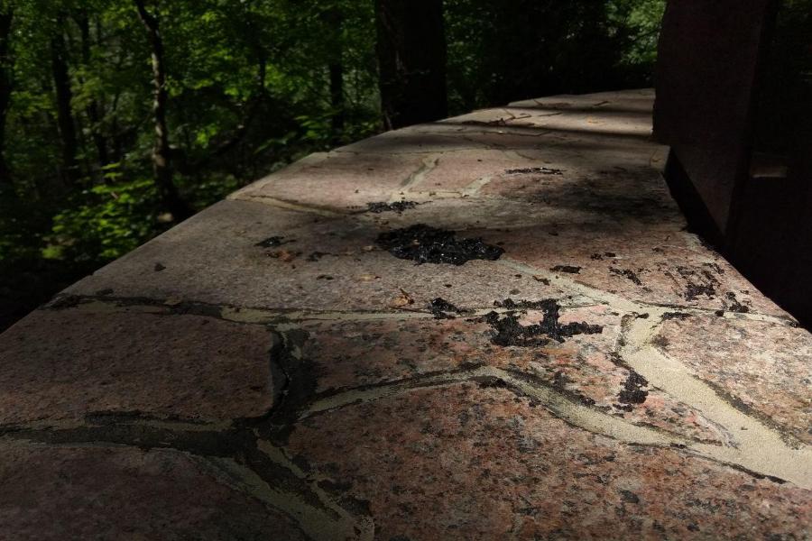 С памятника профессорам «Альбертины» «убрали» гудрон, который применили для ремонта