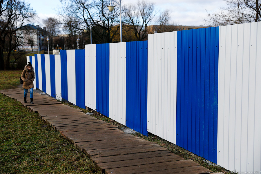 Фото — Виталий Невар, «Новый Калининград.Ru»