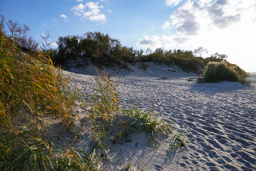 В Калининграде в очередной раз побит температурный рекорд
