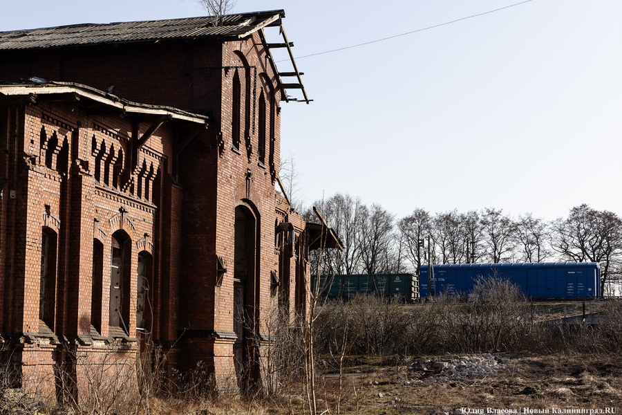 След Розенау: как выглядит заброшенный мясокомбинат на Аллее Смелых (фото)