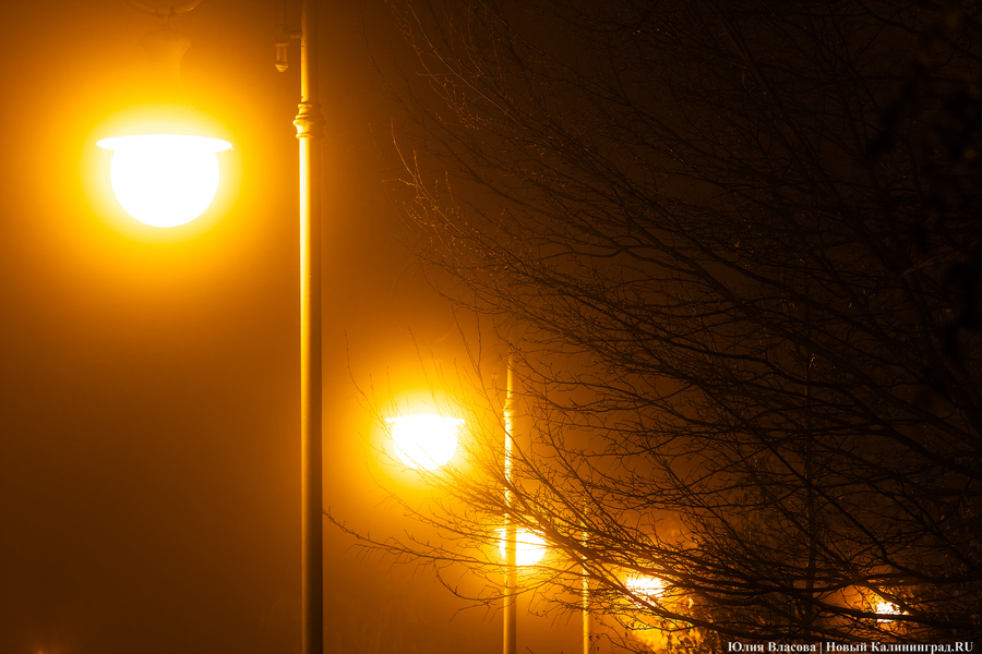 МЧС: в ближайшие часы в Калининградской области ожидается туман