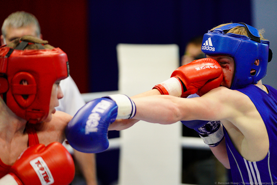 Очередной нокдаун: в Калининграде прошёл международный турнир по боксу «Янтарные перчатки»
