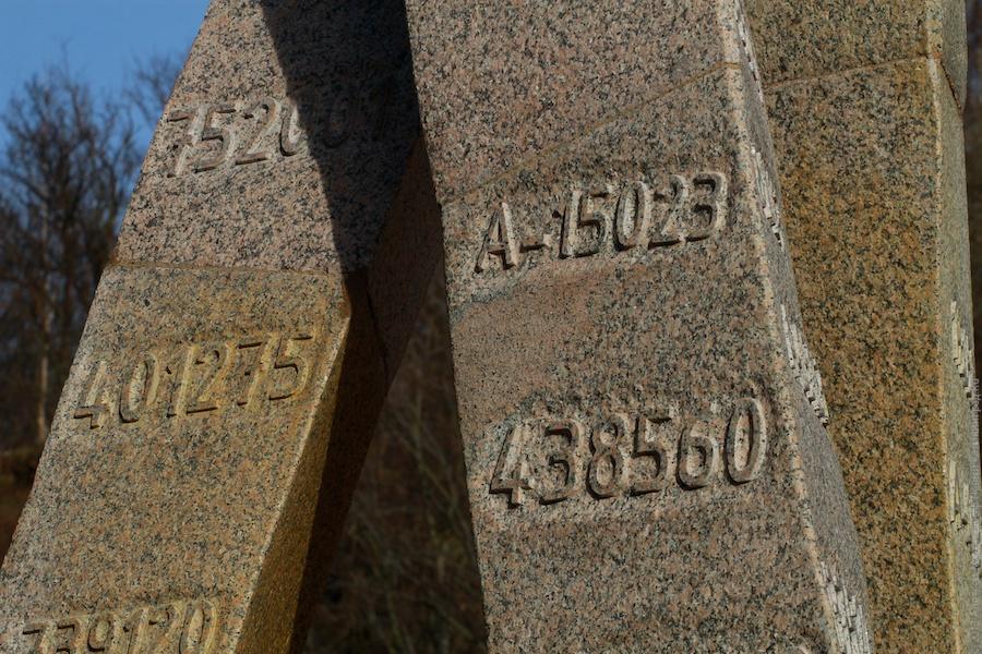 "Руки Пальмникена": репортаж "Нового Калининграда.Ru"