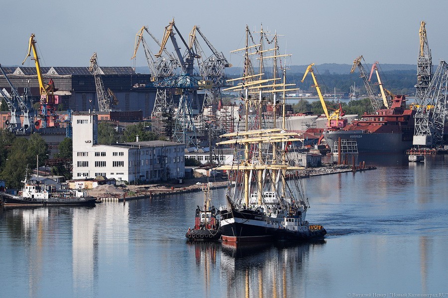 Антисептики вместо родственников: встреча «Крузенштерна» в порту Калининграда (фото)