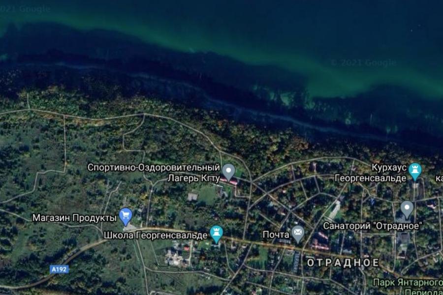 Прокуратура: власти незаконно отдали под застройку 41 га Варникенского леса у моря