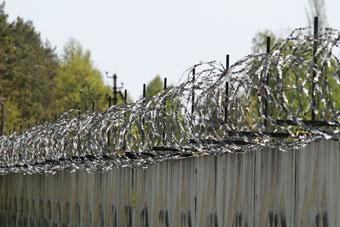 "Молодая Гвардия" намерена построить в Калининграде "импровизированный ГУЛАГ"