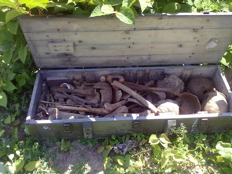Кости в коробку: строители часовни в Калининградской области разорили немецкие могилы (фото)