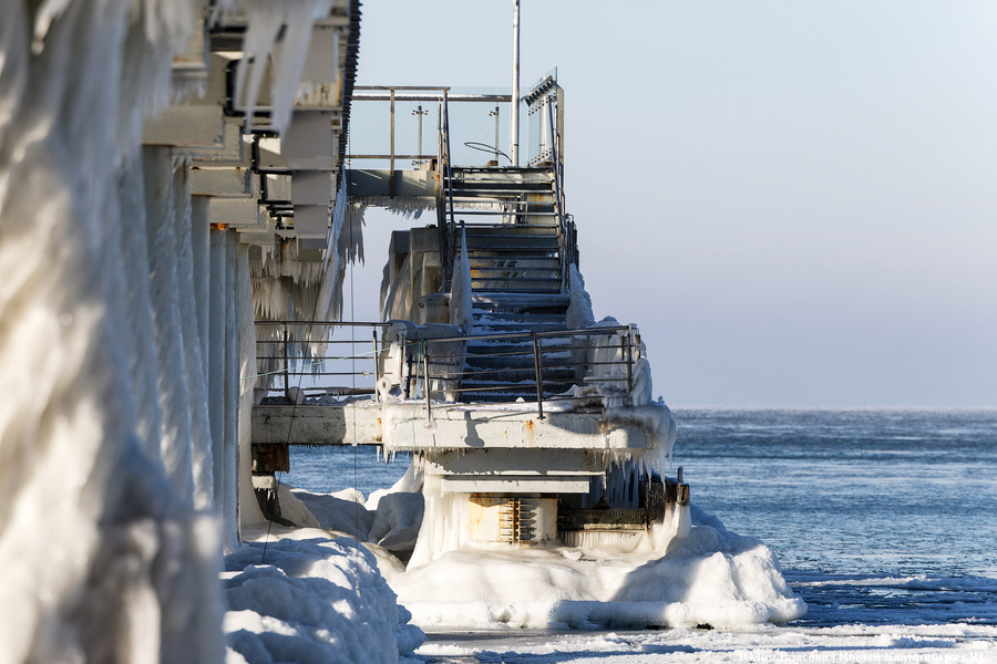 Балтика во льдах: как выглядит побережье после рекордных морозов