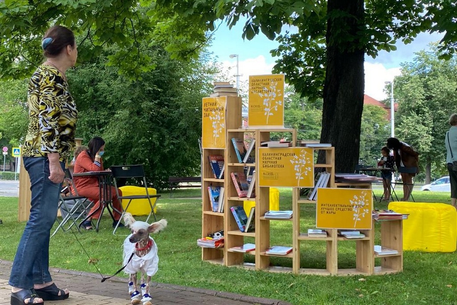 Научная библиотека открыла летний читальный зал в сквере у памятника Шиллеру (фото)