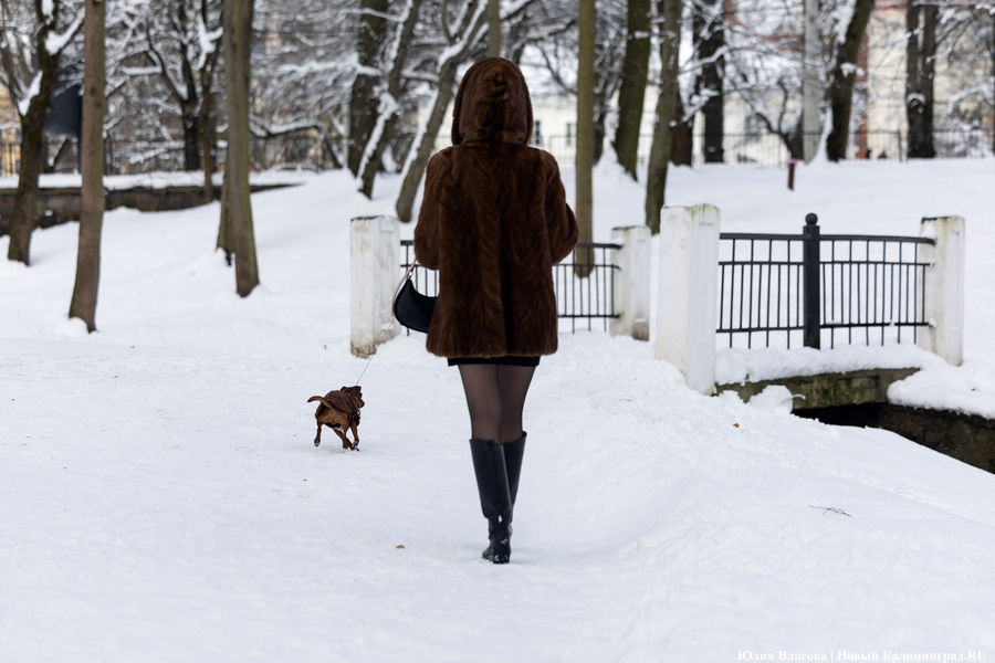 Зима не сдаётся: как выглядят улицы Калининграда после «снежного удара» (фото)