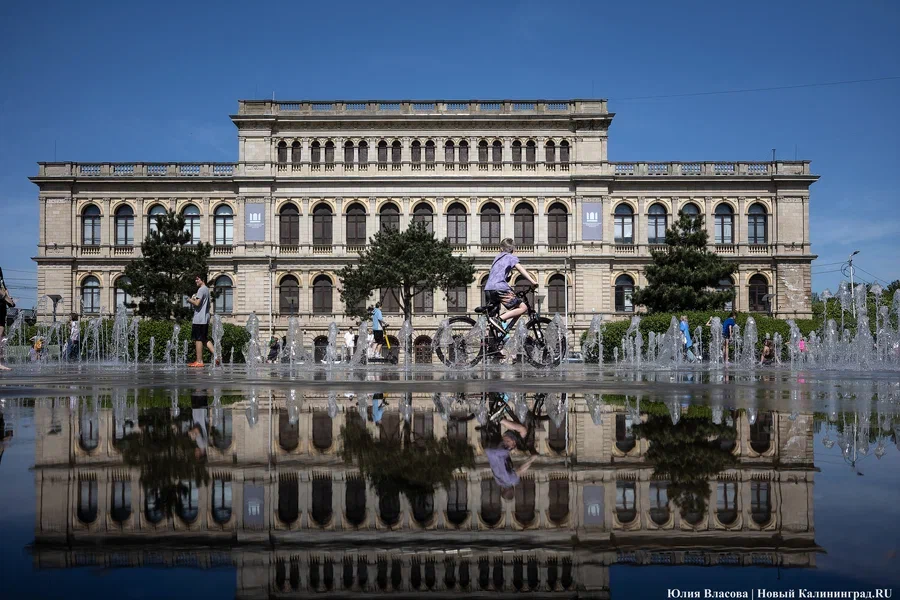 Фото: Юлия Власова / «Новый Калининград»