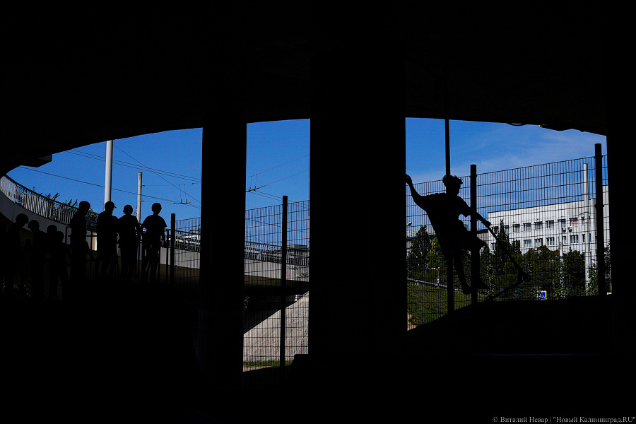 В Калининграде стало ещё одним скейт парком больше. Вот что там происходит