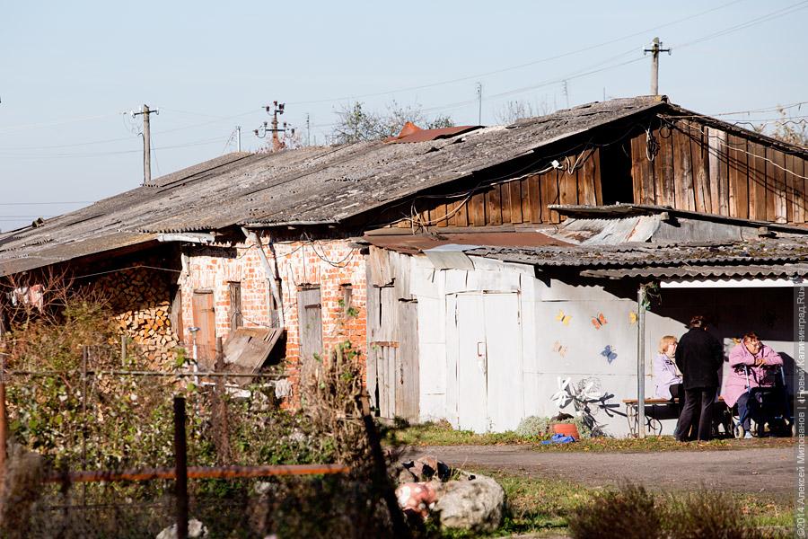 Семивековая грустная сказка: странный город Правдинск