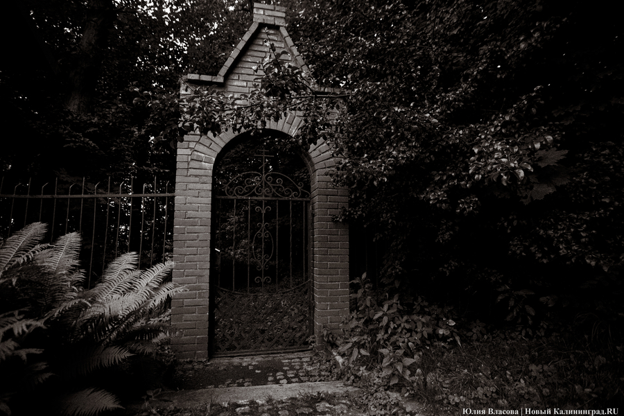 Изгнание рыбы, общение с ангелами, лечение лошадей — за что судили ведьм Кёнигсберга