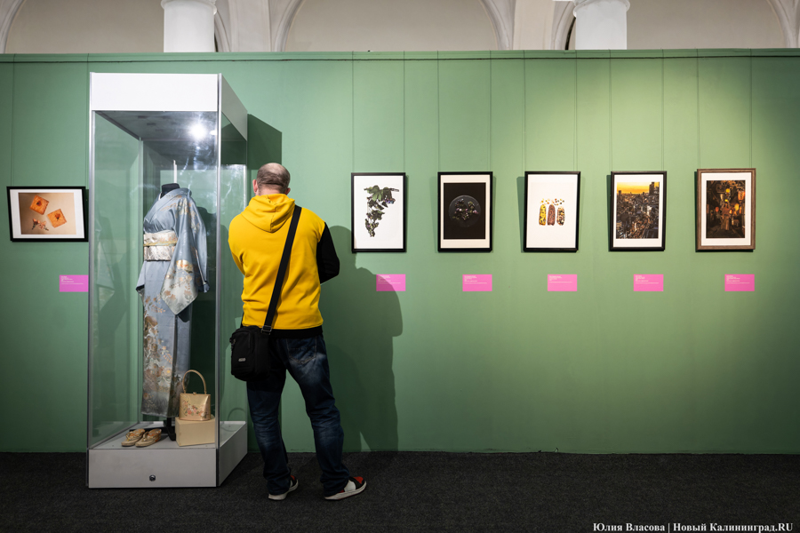 Япония рядом: в Музее изобразительных искусств открылись Дни Эрмитажа (фото)