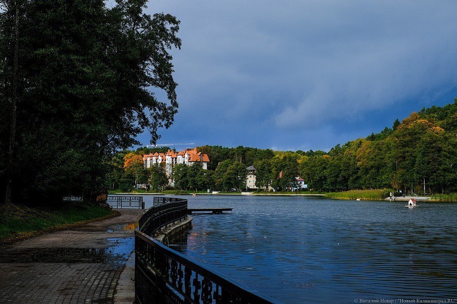 Муза освоения: как за федеральные деньги благоустраивают парк в Светлогорске