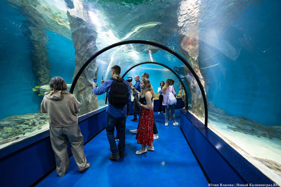 Музей-корабль, музей-планета: экскурсия по корпусу-шару «Планета Океан»