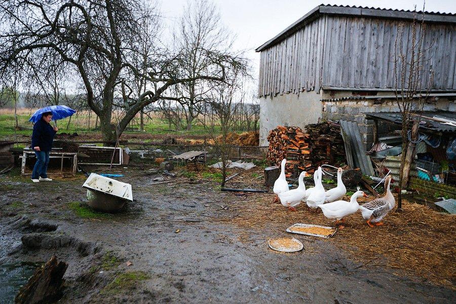 «Боосбан нас отрезал»: жизнь поселка Матросово рядом с Приморским кольцом