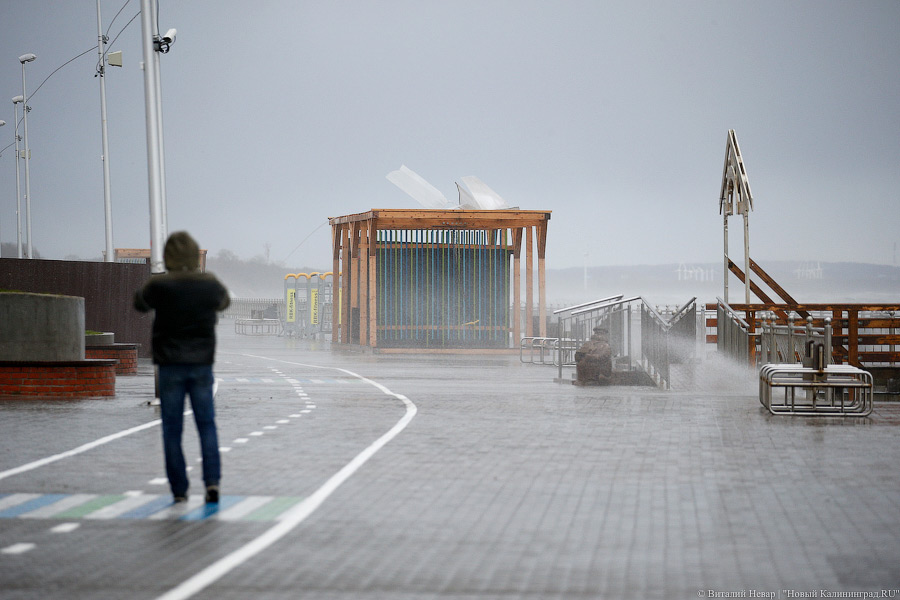 В ночь на 8 марта в регионе ожидаются порывы ветра до 14 м/с