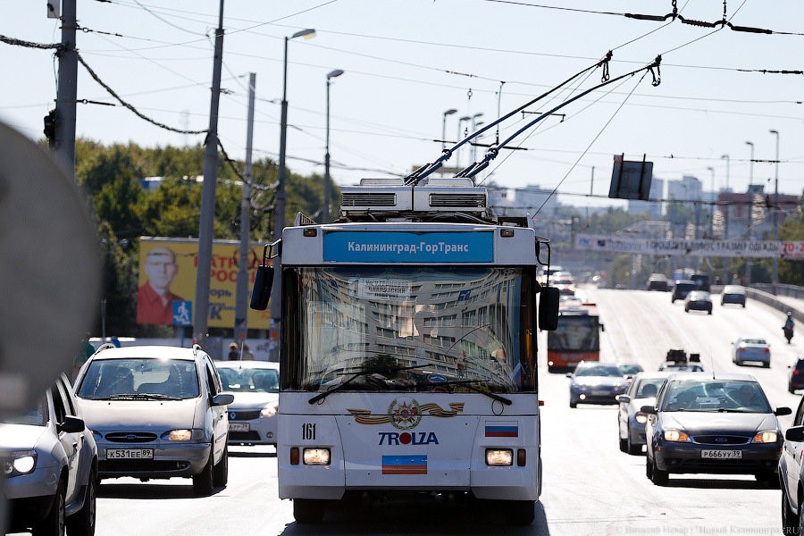 Алиханов: правительство области обратилось в ФАС из-за роста цен на топливо