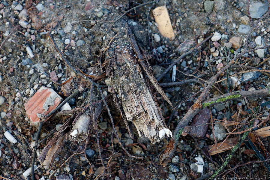 Коренные изменения: как выглядит сегодня благоустройство ул. П. Морозова (фото)