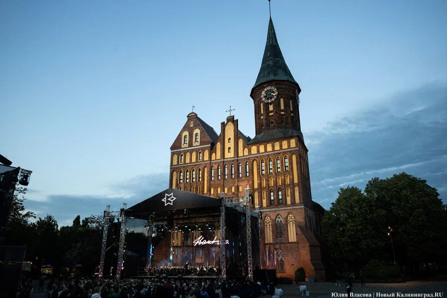 Фото: Юлия Власова / Новый Калининград