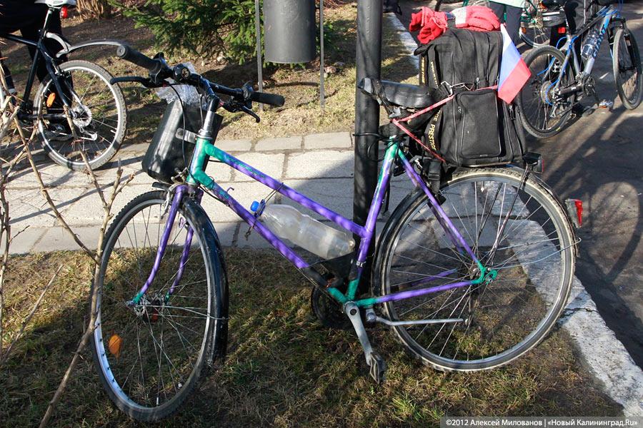 «Триста спартанцев»: репортаж «Нового Калининграда.Ru»