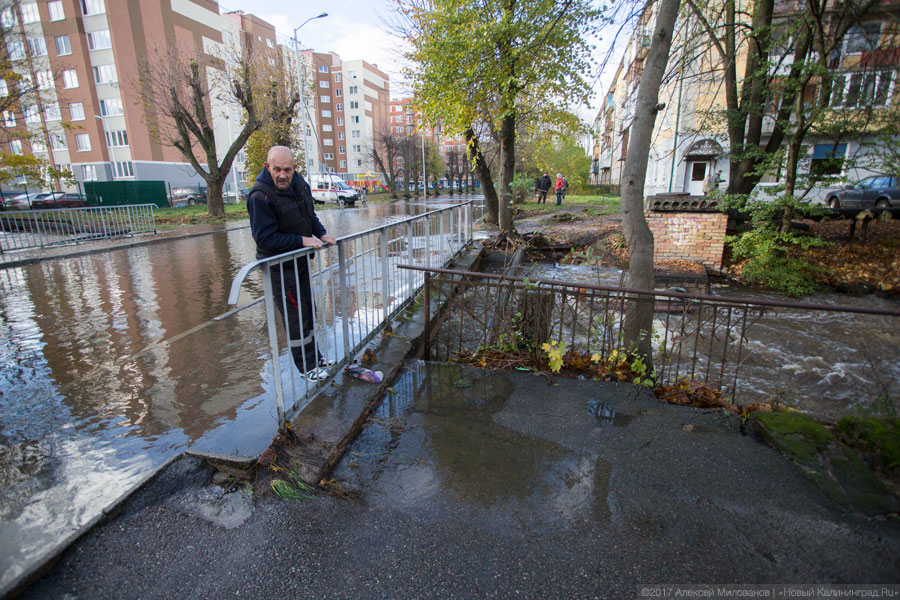 Ярошук: чтобы справиться с потопами, нужно чистить «федеральные» реки