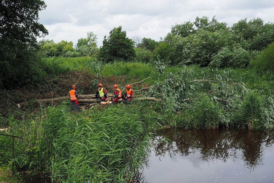 «Операция спасения»: в Полесском районе осушают первый польдер (фото)