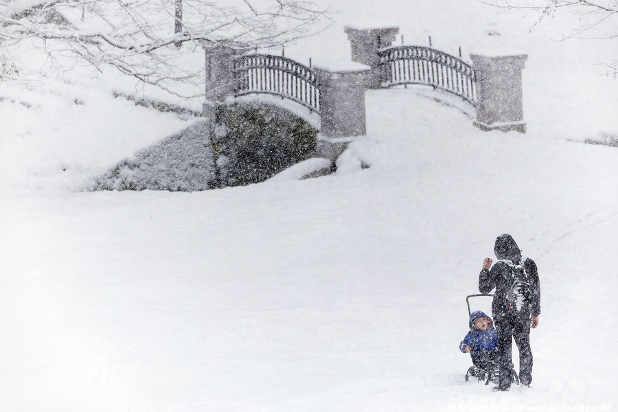 Пролетая на ватрушке: как в Центральном парке катаются с горки вопреки запретам (фото)