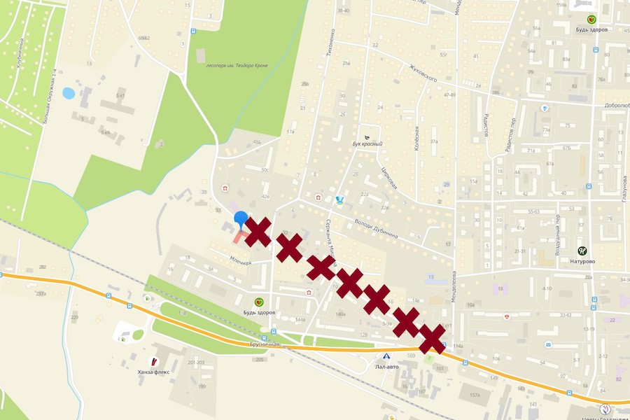 Мэрия: Тенистая аллея будет закрыта до лета