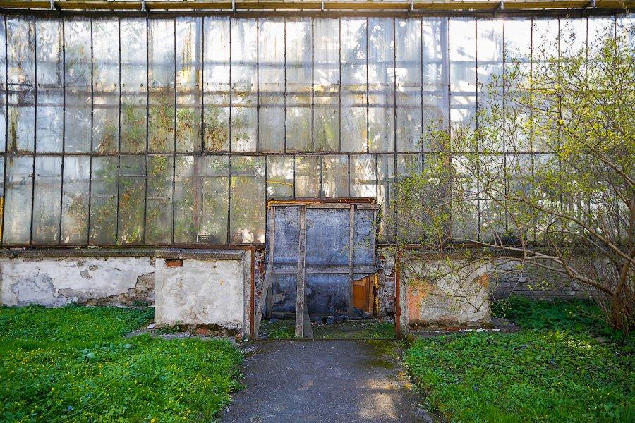 Экзотика в руинах: аварийные оранжереи Ботанического сада и их будущее