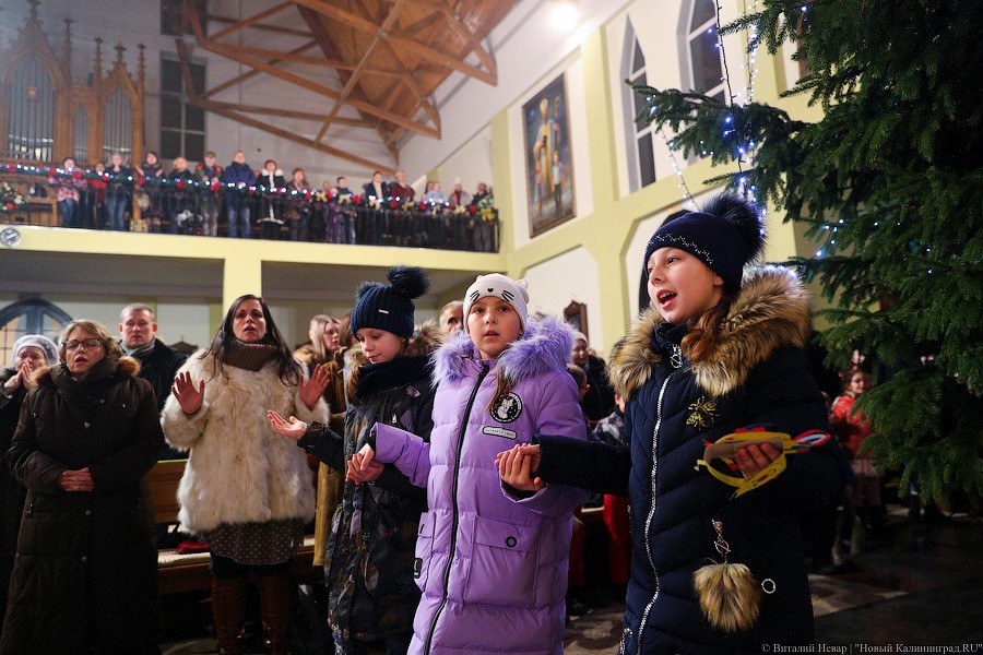 «Звезда Рождества»: католический Сочельник в Калининграде в фотографиях (фото)