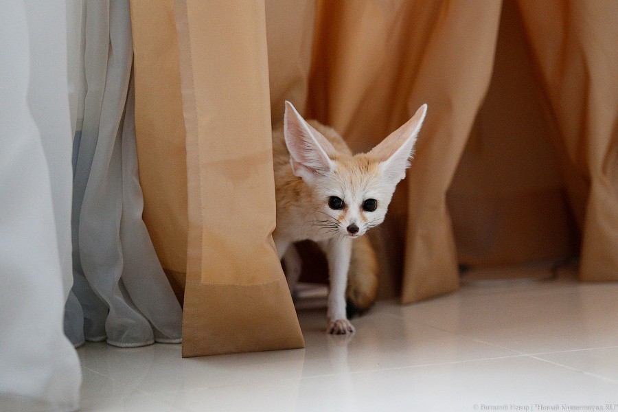 Что вы делаете на карантине? Расскажите нам, а мы расскажем, что делают другие