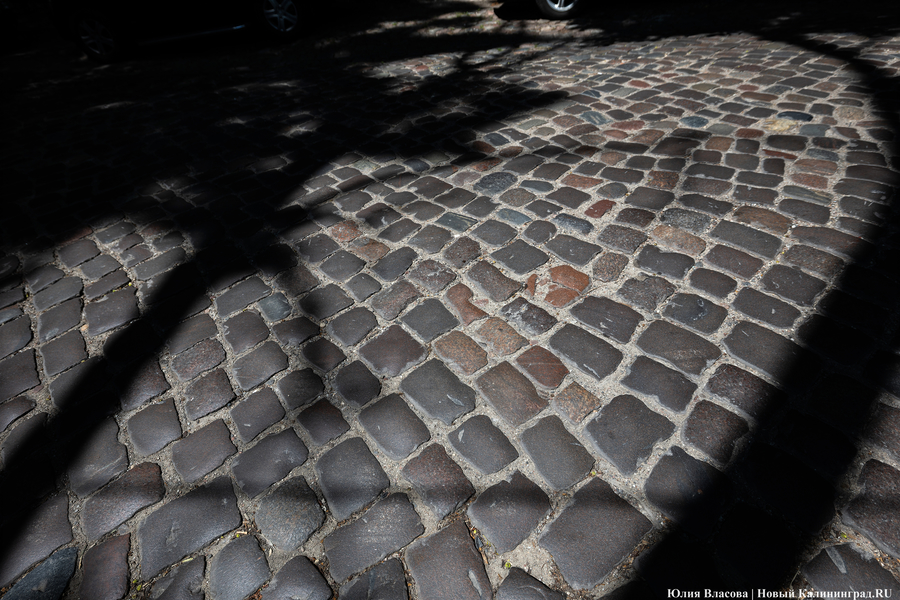 Дятлова о ремонте ул. Галицкого: не трогая брусчатку, проложить ливнёвку невозможно