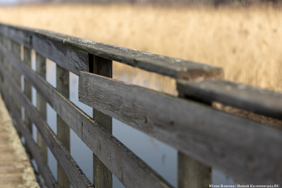 Без «Голубого флага»: как в Янтарном готовятся к пляжному сезону (фото)