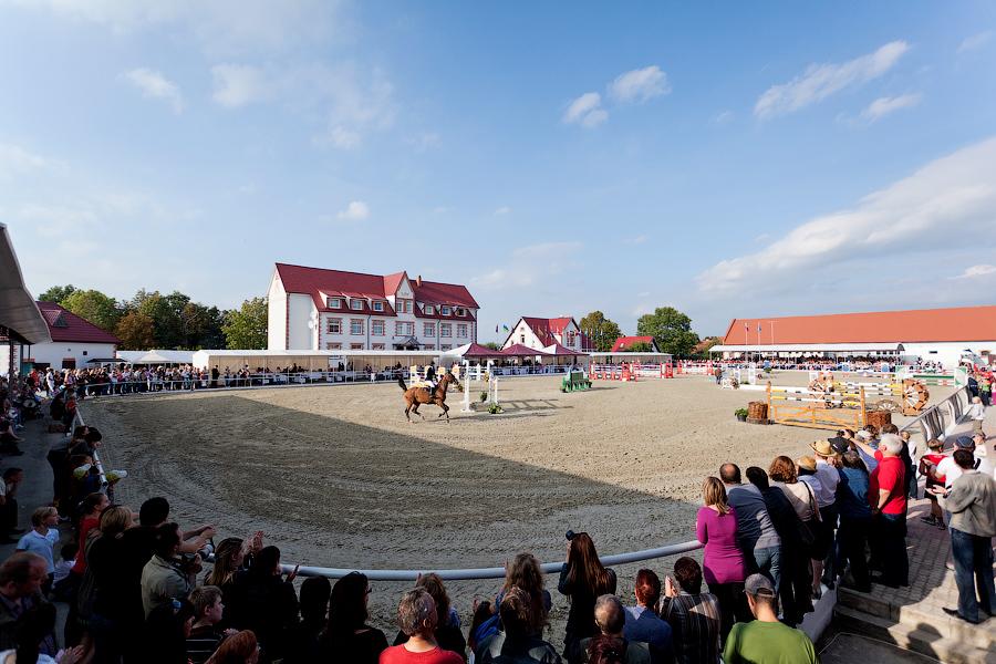 «Шляпки, лошади, конкур»: фоторепортаж «Нового Калининграда.Ru»