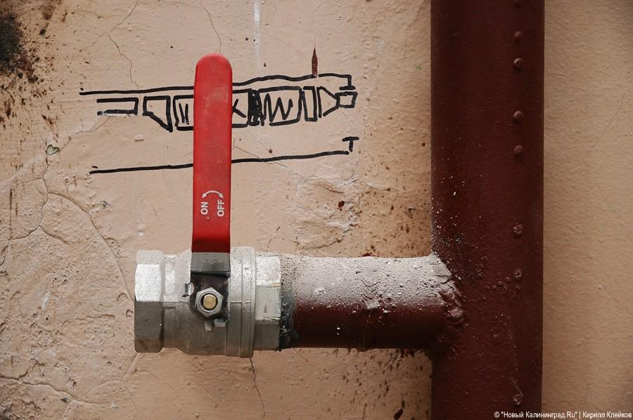 "Инфекционные горизонты": репортаж "Нового Калининграда.Ru"