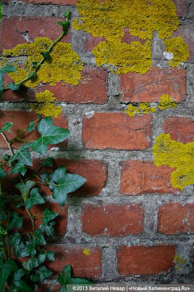 По следам Первой мировой: памятники павшим в Гвардейском районе