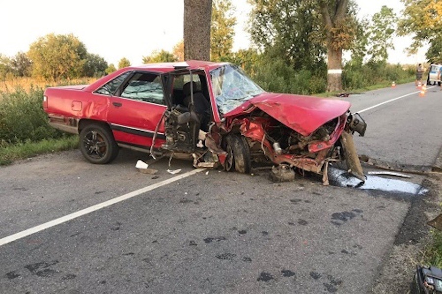 Под Калининградом пьяный водитель «Ауди» врезался в дерево, пострадали двое (фото)