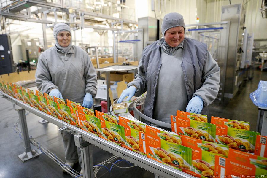 Галопом по котлетам: главе Минсельхоза РФ показали два завода в Калининграде