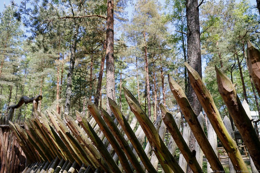 Олаф и его хирд: деревня викингов на Куршской косе стала обитаемой